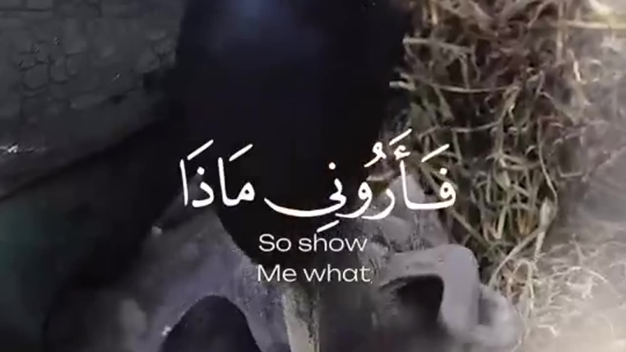 بلغوا عني ولو آية