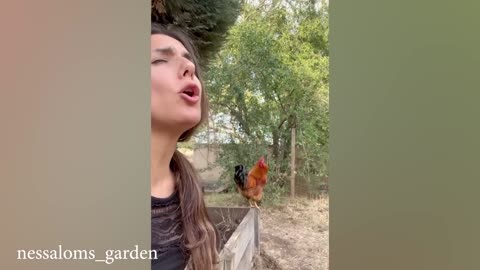 Trending Funny Animals HOLD YOUR LAUGH IF YOU CAN 😅