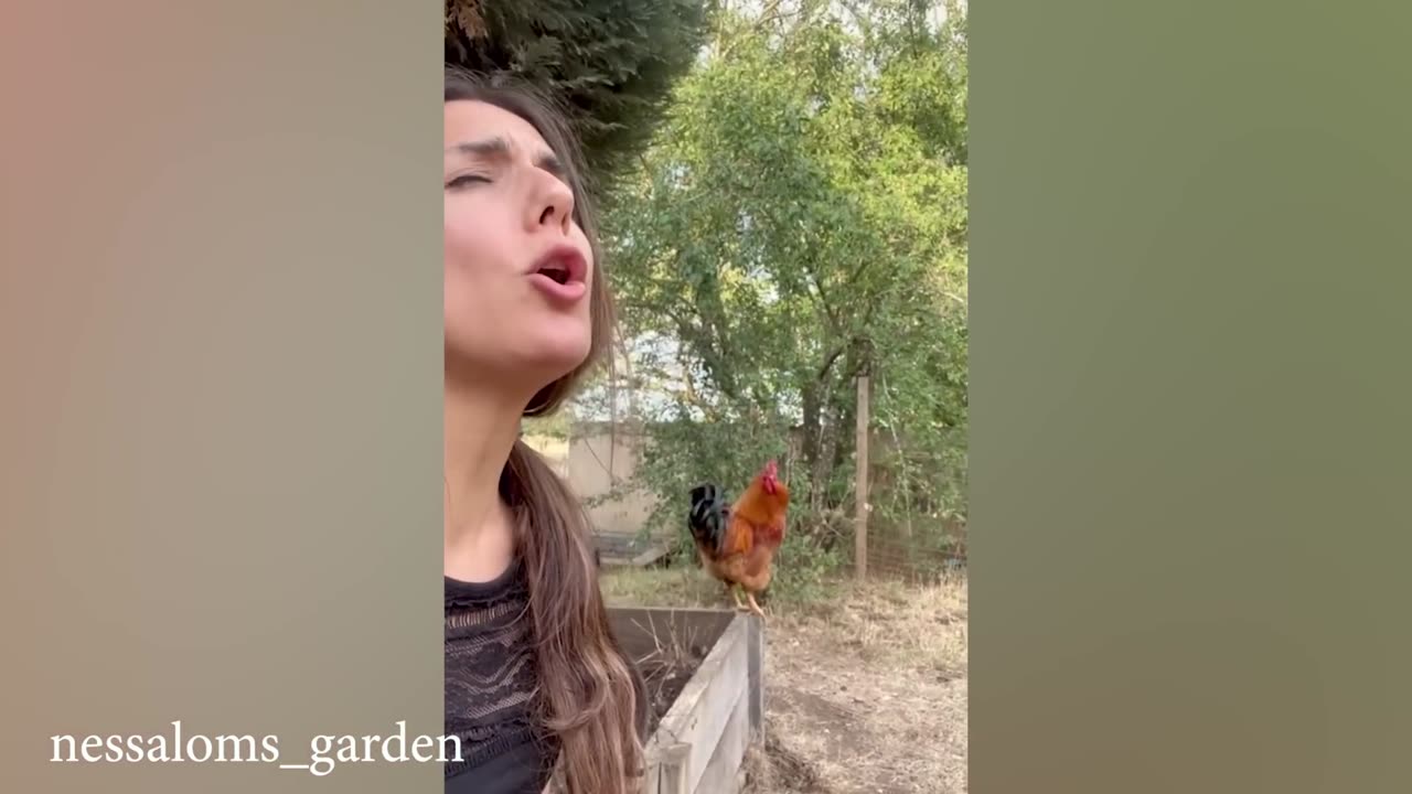 Trending Funny Animals HOLD YOUR LAUGH IF YOU CAN 😅