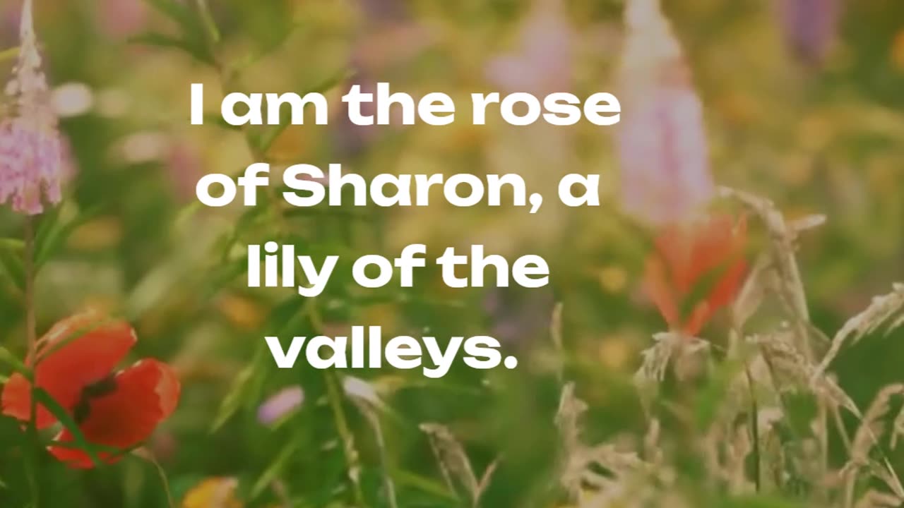 Song of Solomon 2:1