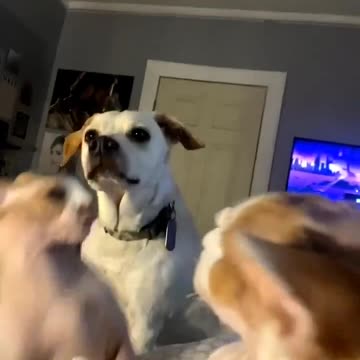 How can he stop this argument without getting hurt?