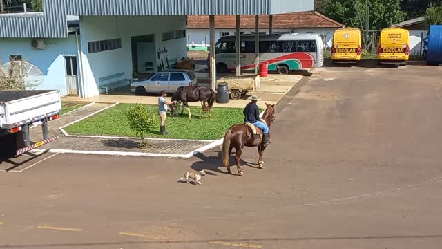 horseback riding in the mountains of southern brazil