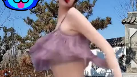 Funny Animals Fails Videos