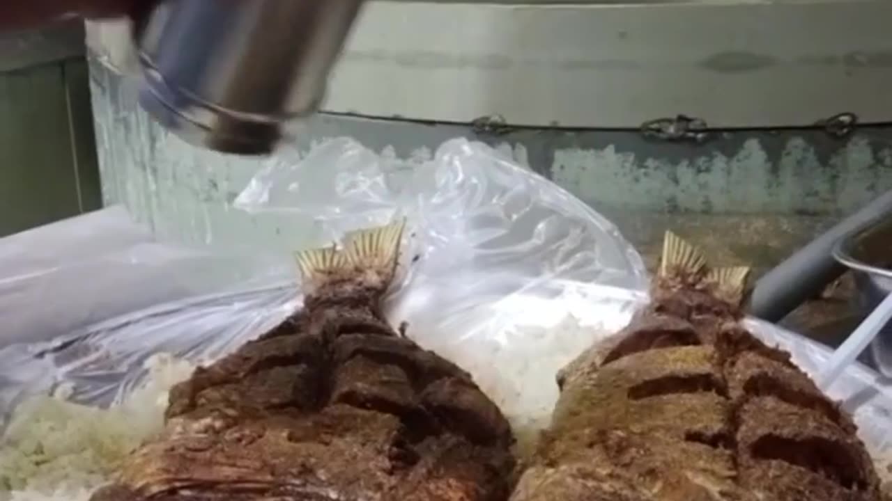Fish 🐟 & Rice 🤤
