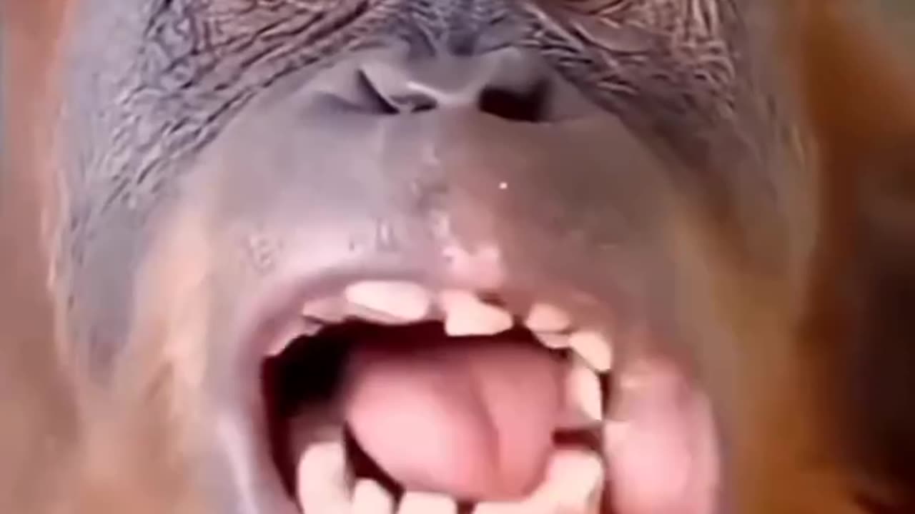 Funny shorst 🤣😂🤣