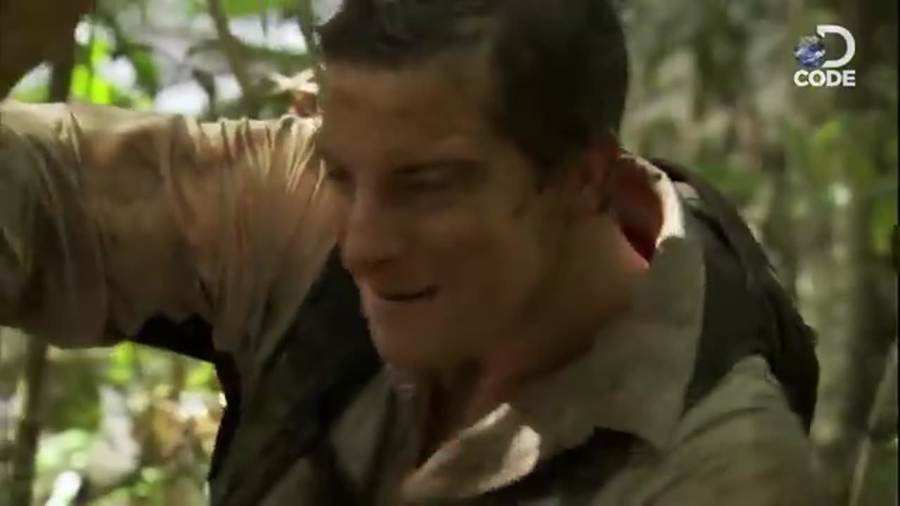 Bear Grylls in Bomeo jangal ( man vs will )