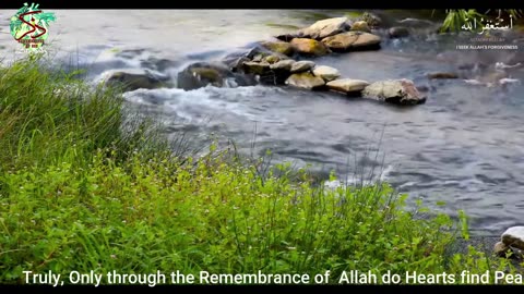 Surah Waqiah by A.Gailaan #trending #viral #quran #status #islam #muslim #meditation #asmr #relaxing
