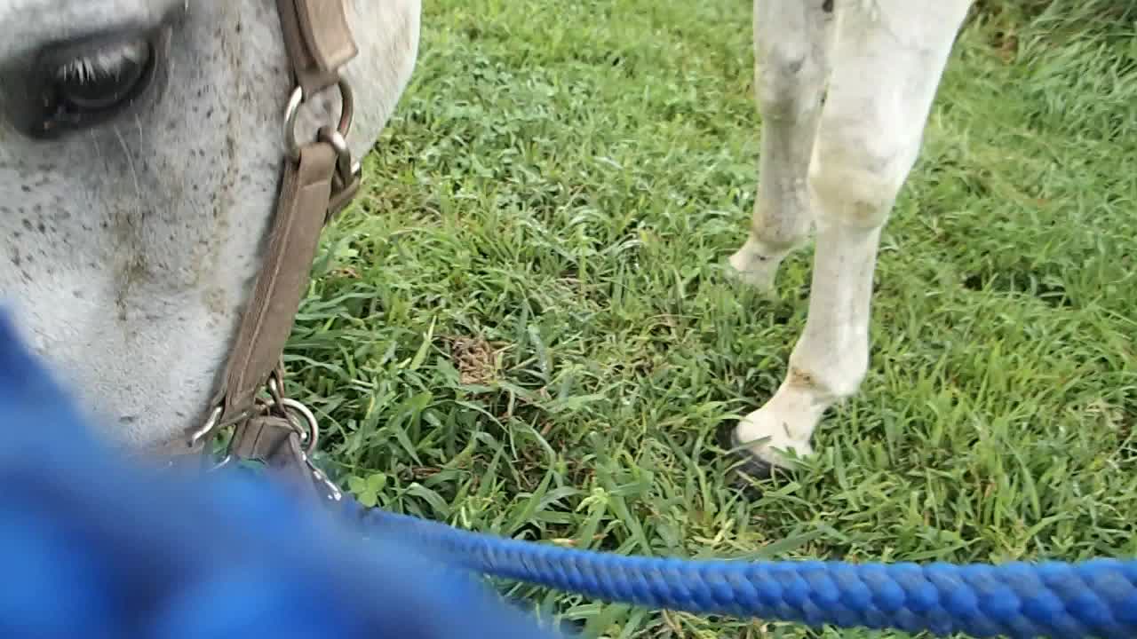 Pooh-chan eat and walk-2