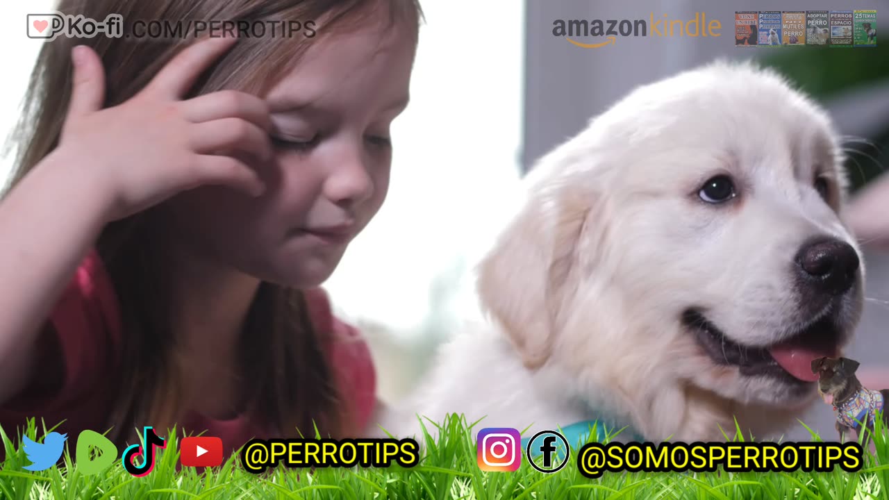Niños y mascotas, dupla perfecta