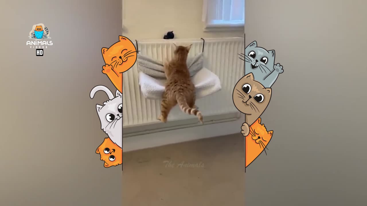 Funny Cats And Dogs Videos 🤣 - Funniest Animal Videos 2023! 🥰