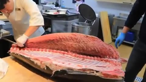 Giant Tuna Cutting ShowBlue Fin Tuna Sashimi korean sea food