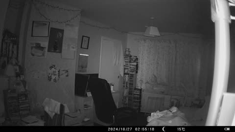 Do you see orbs? #trailcamfootage #orbs #paranormal