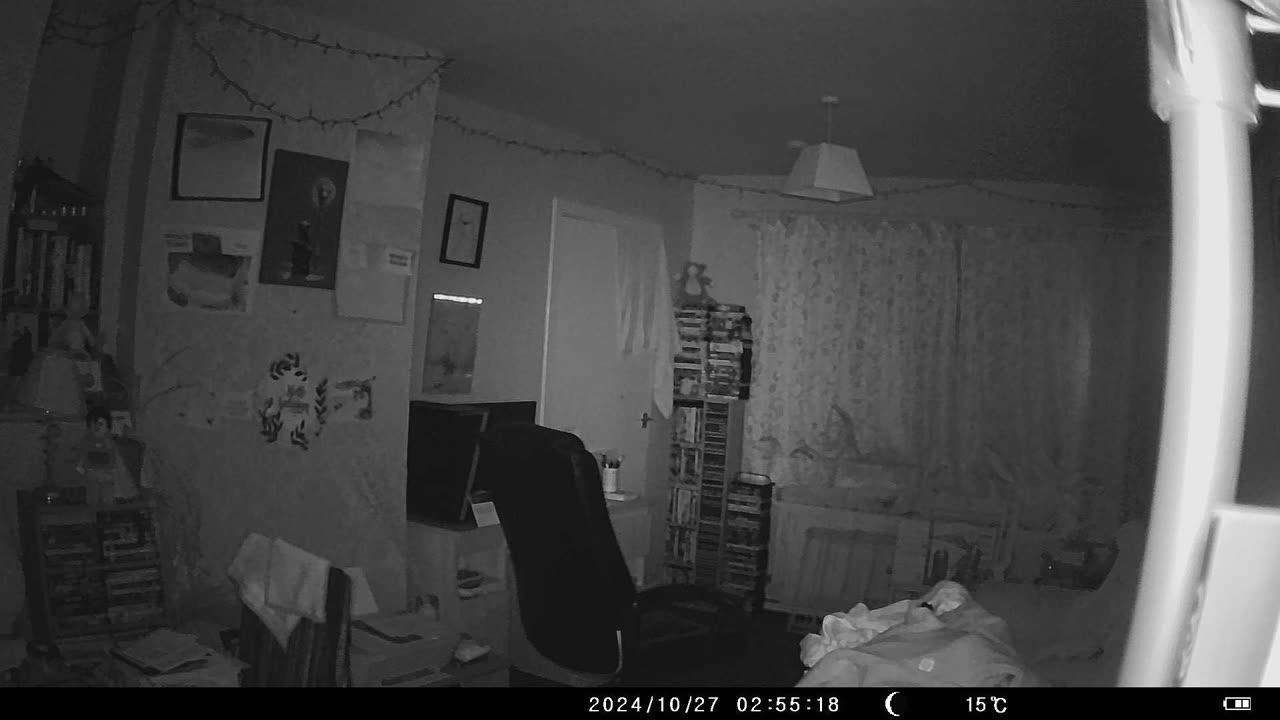 Do you see orbs? #trailcamfootage #orbs #paranormal