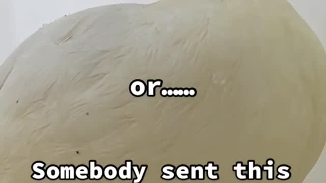 pita has a message for you.