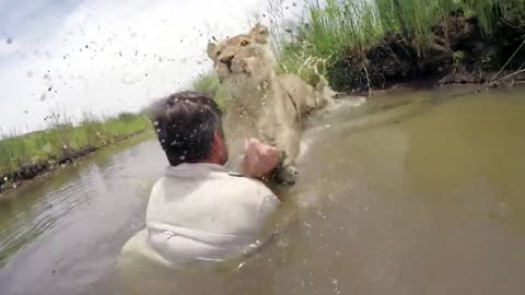 Animals Reunited With Owner After Years !