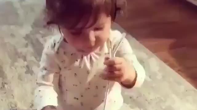 Very funny