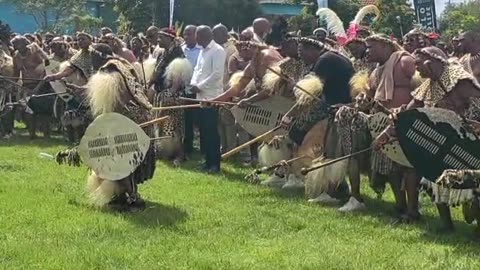 Zulu regiments showcasing their traditional dancing skills. Video: Phumlani Sosibo/Ezemvelo