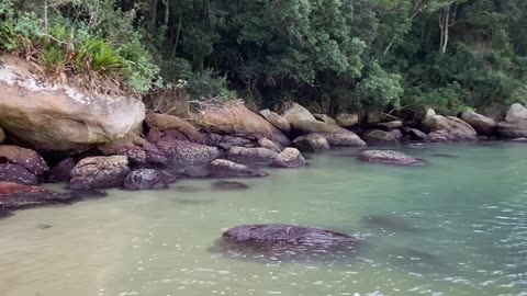 6/10 - Baia dos Golfinhos | Governador Celso Ramos - SC