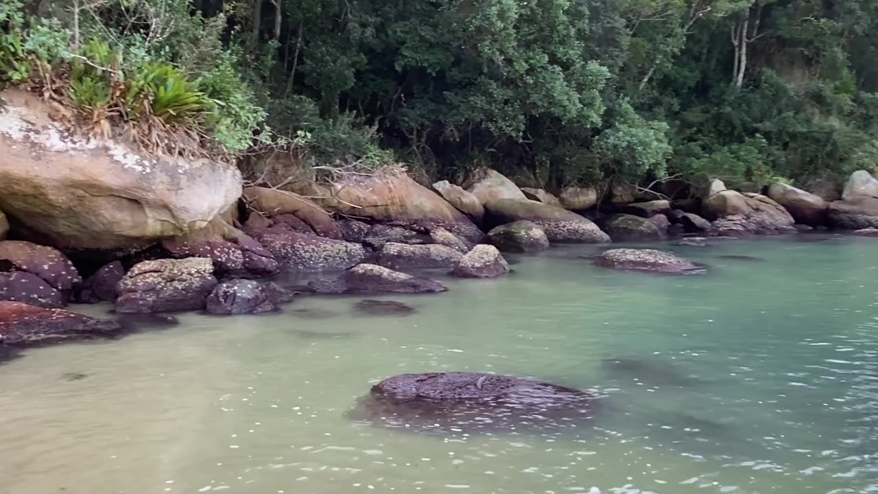 6/10 - Baia dos Golfinhos | Governador Celso Ramos - SC