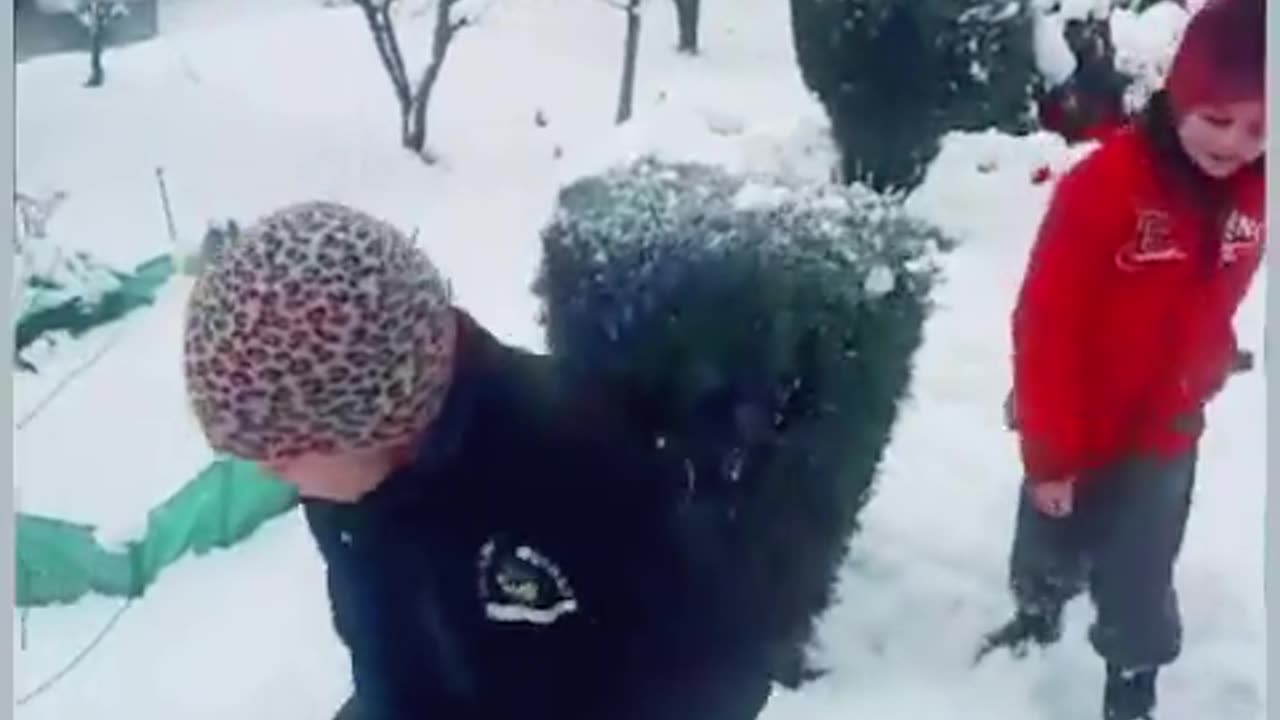 two children clearing the snow