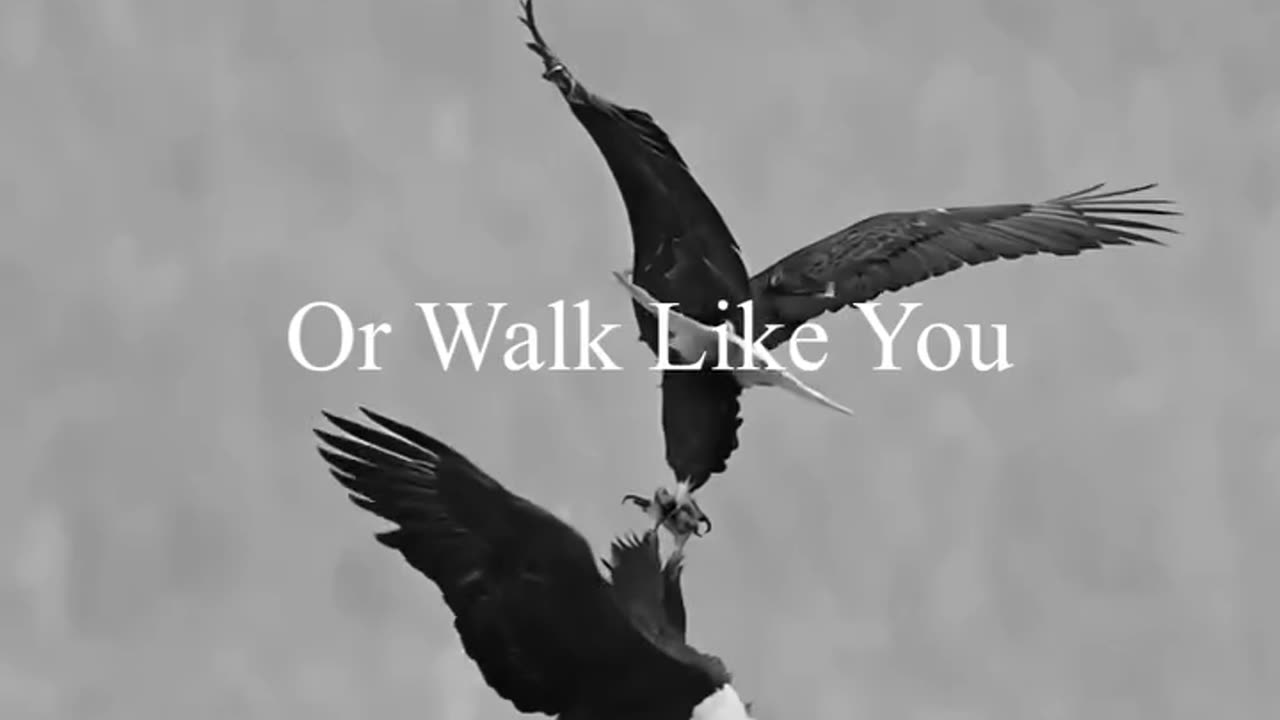 Do you know how you should walk in your life?