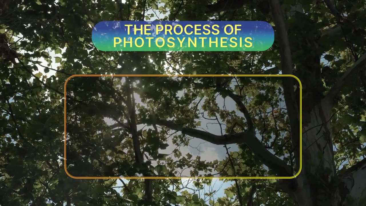 STEMonstrations: Photosynthesis NASA