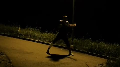 "Mastering the Art of Combat: A Comprehensive Guide on How to Fight"
