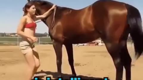 Horse with 200 IQ