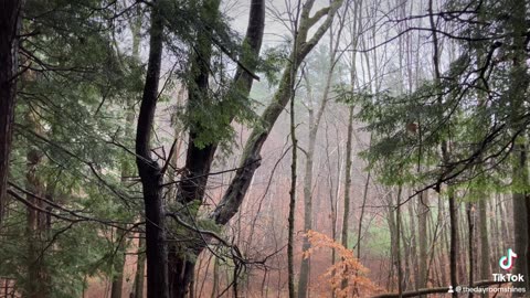 Thanksgiving Rain & Snow on the Balcony