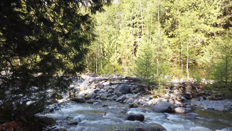 Lynn Canyon Park Hike - Vancouver