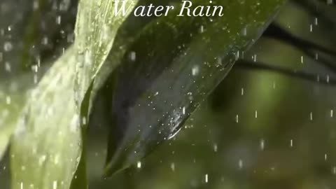 View of rain from different planets