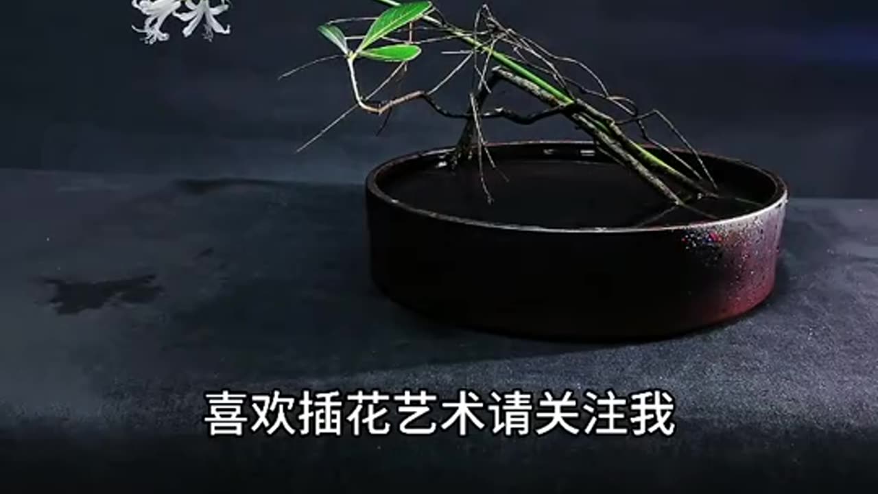 Ikebana 015: Oriental Style Natural Flower Arrangement Artistic Creativity