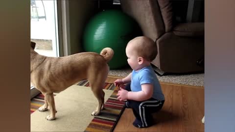 Sweet Friendship of Children and Dog