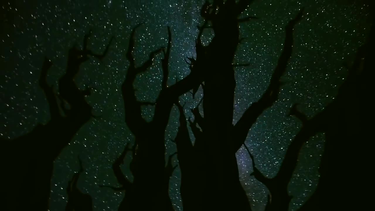 Jeff Rense & Soren Dreier - What Happens After Death?