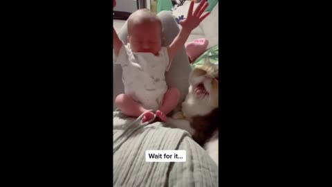 Baby & kitty adorably wake up at the same time