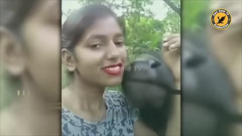 Funny videos 2023
