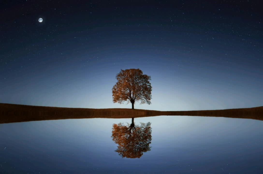 Reflection