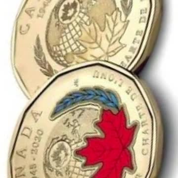 One Canadian dollars