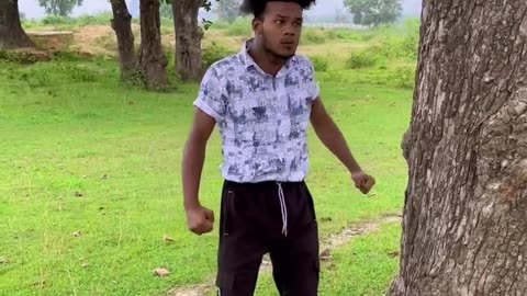 Funny videos