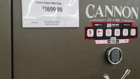 GUN SAFES AT TRACTOR SUPPLY (PRINCETON, KY)