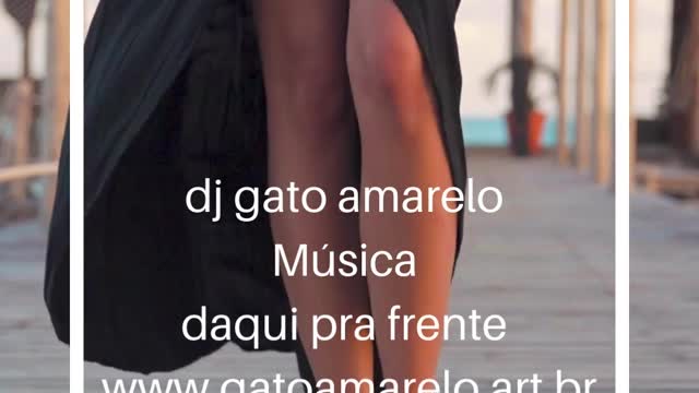 a- daqui pra frente - dj gato amarelo