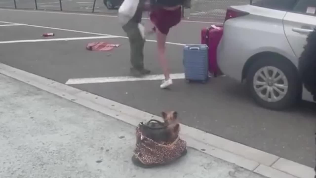 Try not to laugh 😂