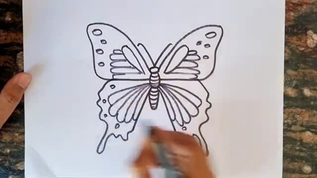 How to draw Butterfly Drawing // Easy Drawing