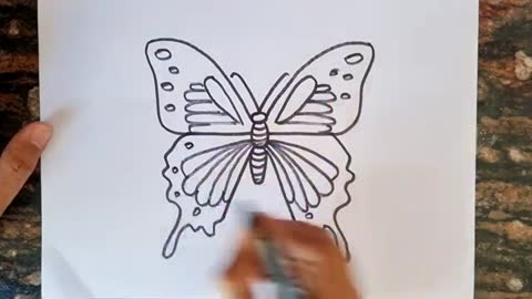 How to draw Butterfly Drawing // Easy Drawing