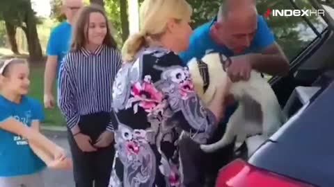 Pas Kika stigao kod Kolinde