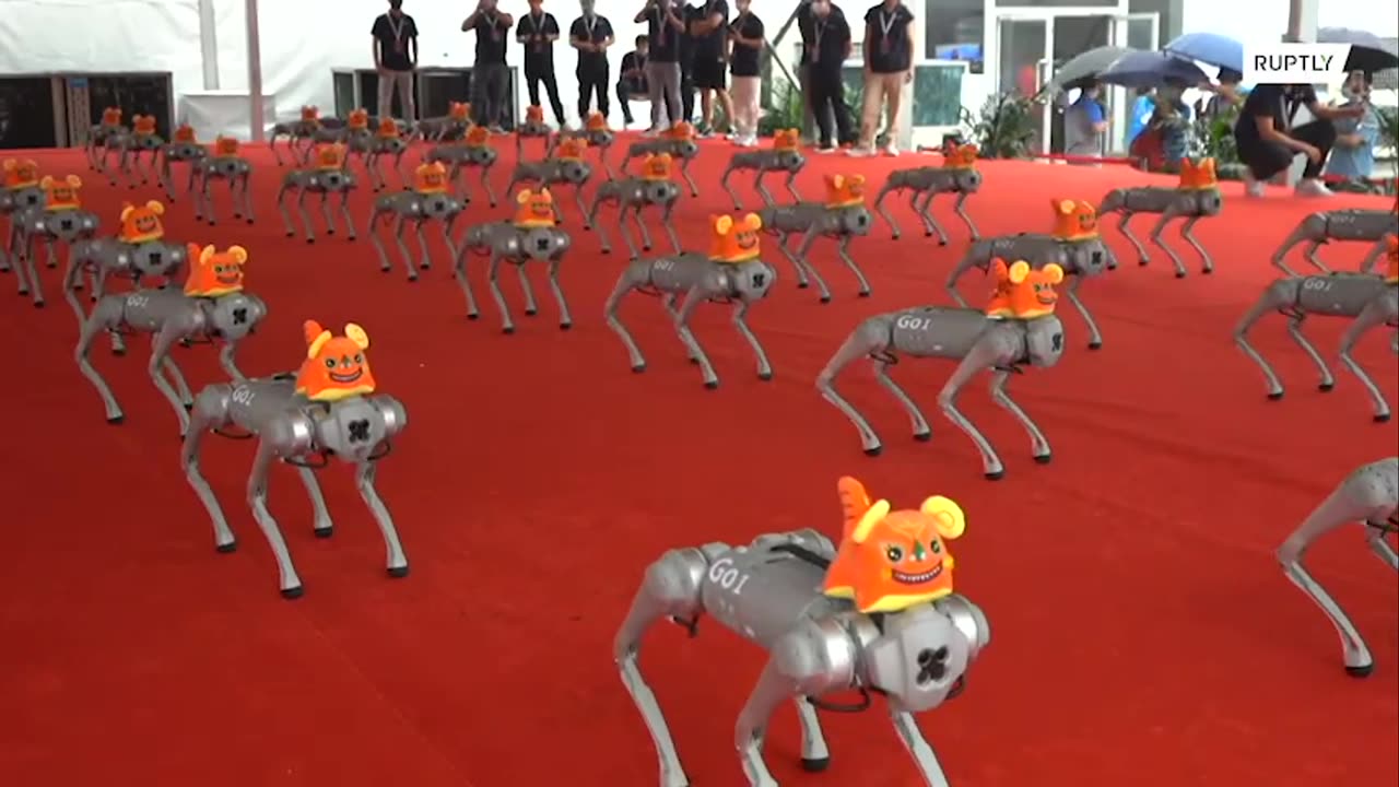 100 dancing robo-dogs steal the show at Beijing’s World Robot Conference