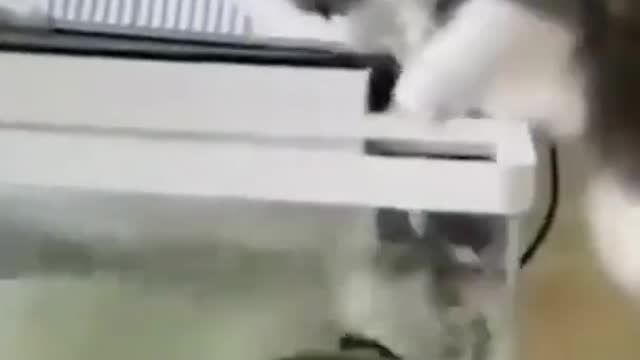 Super cute