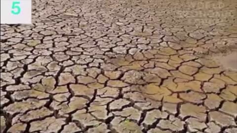 The WEF said this is their focus