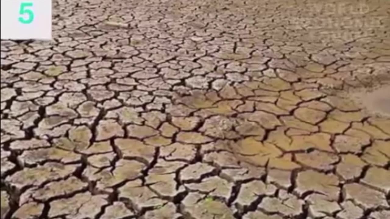 The WEF said this is their focus