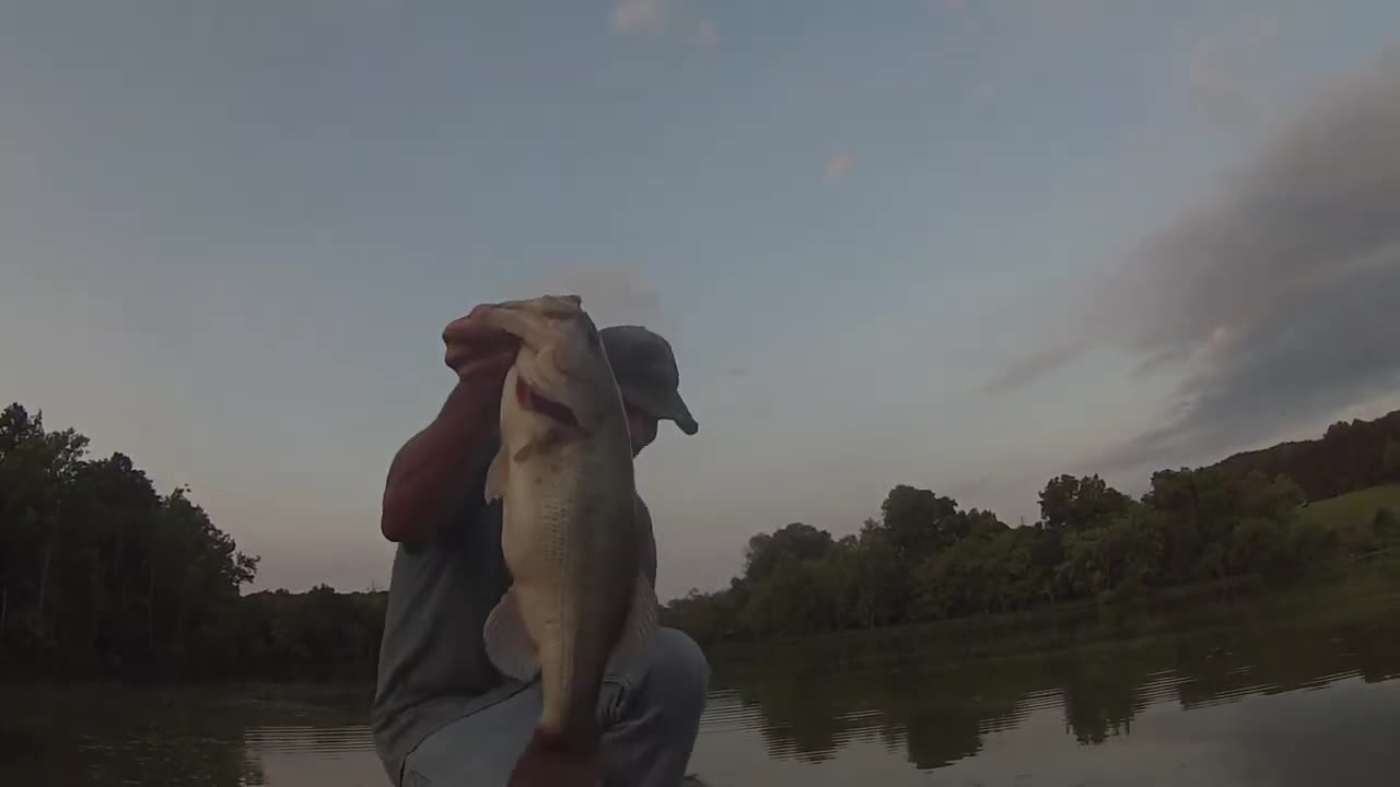 Nolichucky River hawg. 6 lbs